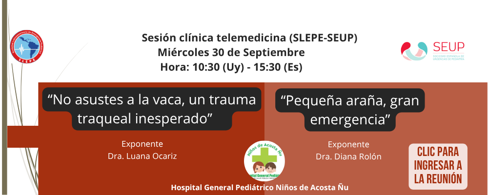 Sesion Clinica Telemedicina